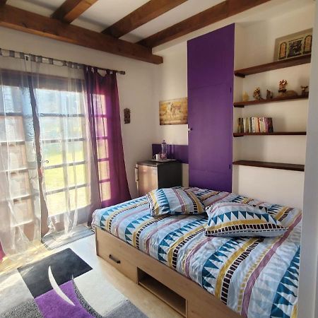 Maison Le Lezard Chez Amalia Et Fred Thonon-les-Bains Dış mekan fotoğraf