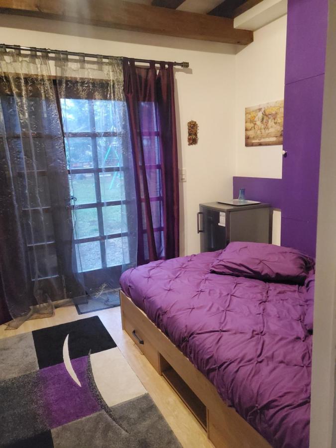 Maison Le Lezard Chez Amalia Et Fred Thonon-les-Bains Dış mekan fotoğraf