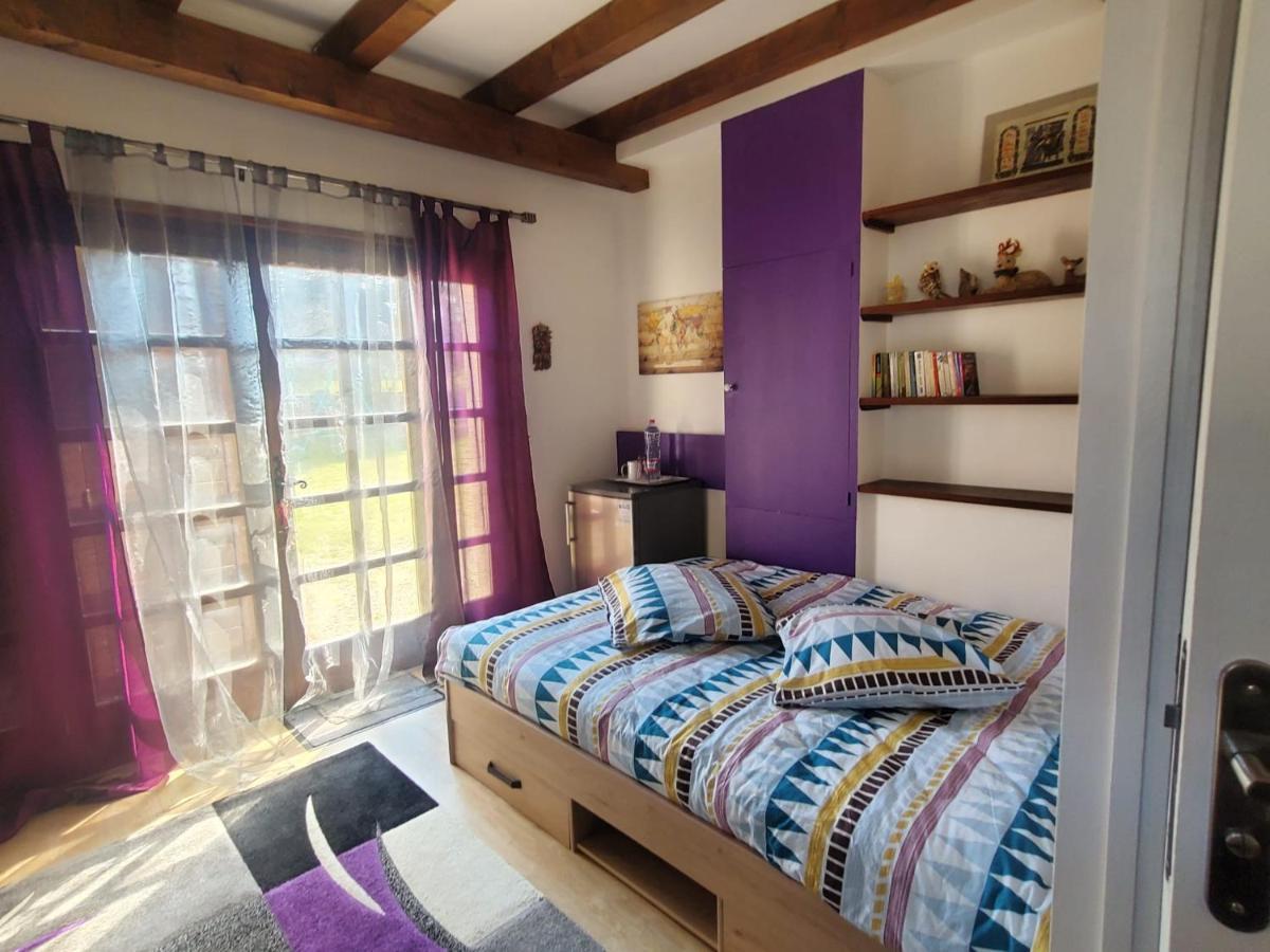 Maison Le Lezard Chez Amalia Et Fred Thonon-les-Bains Dış mekan fotoğraf