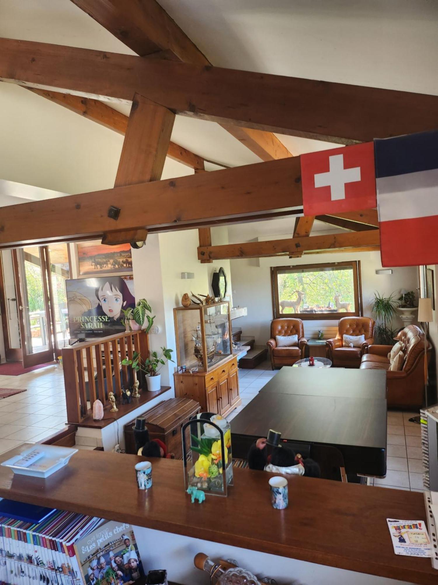 Maison Le Lezard Chez Amalia Et Fred Thonon-les-Bains Dış mekan fotoğraf